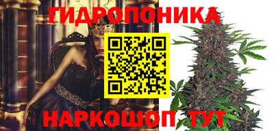 спайс Коммунар
