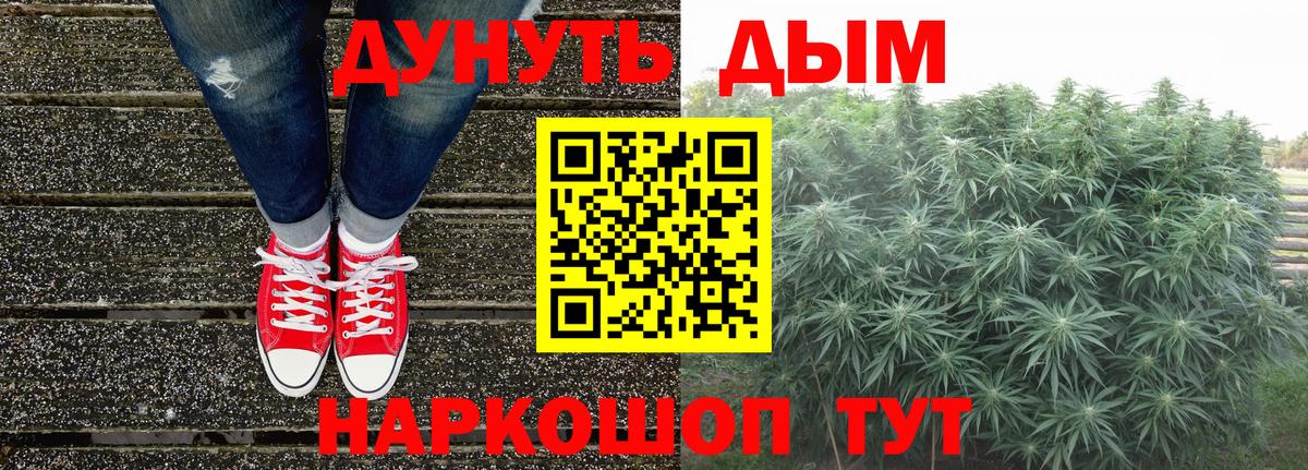 Бошки Шишки планчик Донской